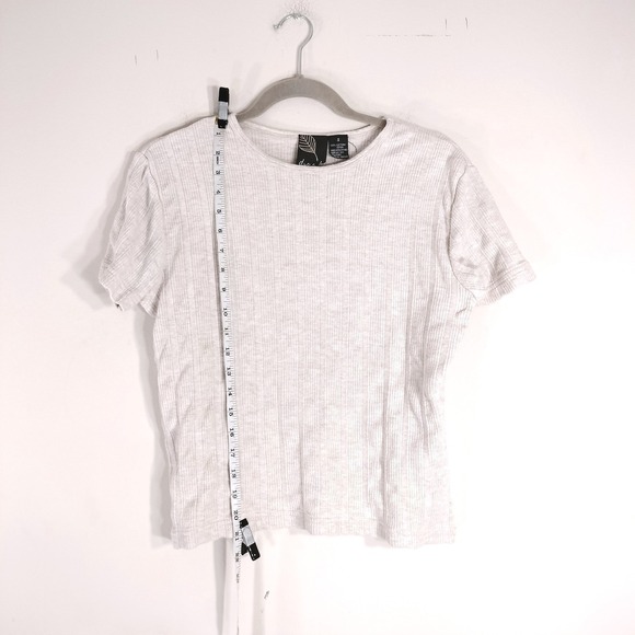 Dana B. and Karen Tops - Dana B. and Karen Greige Crop T-Shirt; Ribbed Knit Short Sleeve, Y2K 90s